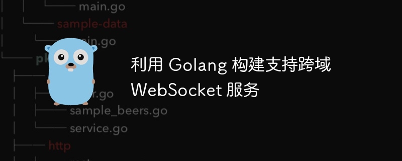 Golang搭建跨域WebSocket服务教程