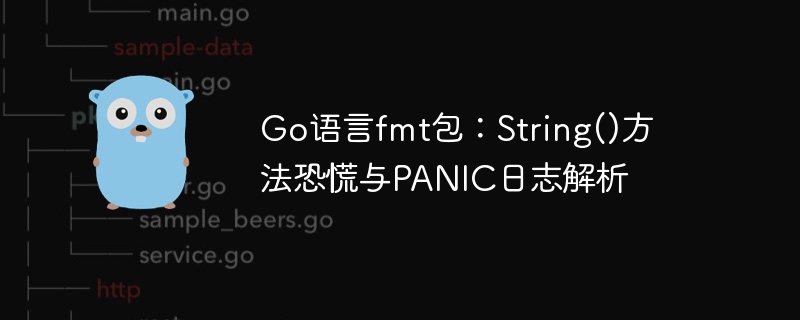 Go语言String方法崩溃原因解析