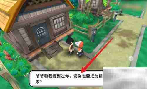 掌机小精灵通关秘籍