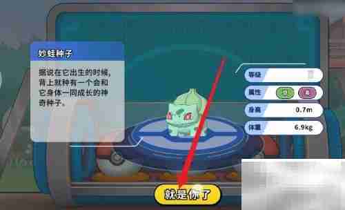 掌机小精灵通关秘籍