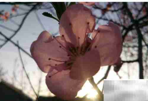 晨光之美，如诗如画