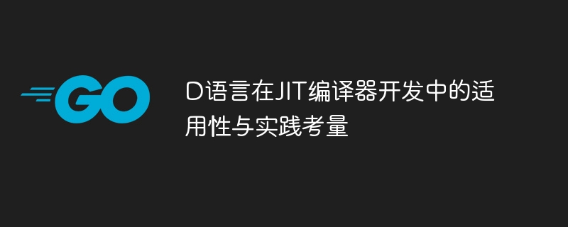 D语言适合JIT编译器开发吗？实战解析