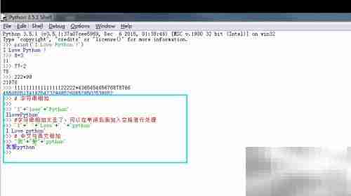 Python DLE打印输出