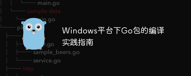 Go语言Windows编译实战教程