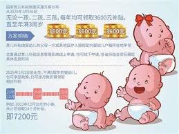3岁以下育儿补贴标准详解
