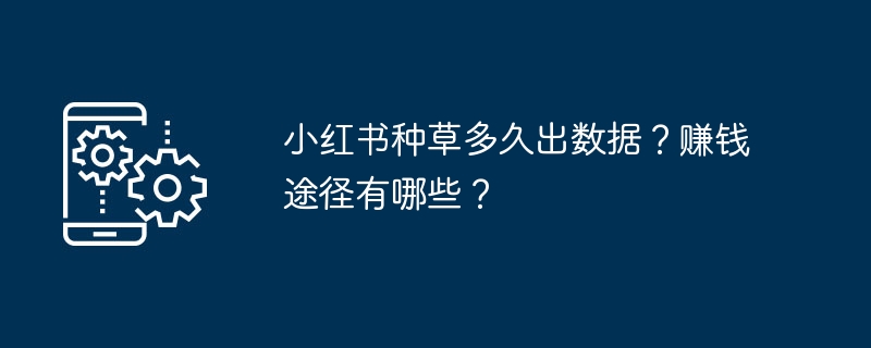 小红书种草多久出数据？赚钱途径有哪些？