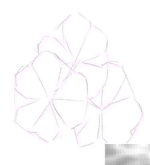 三叶草绘画技巧全解析