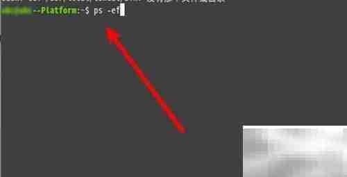 Linux终止进程命令详解