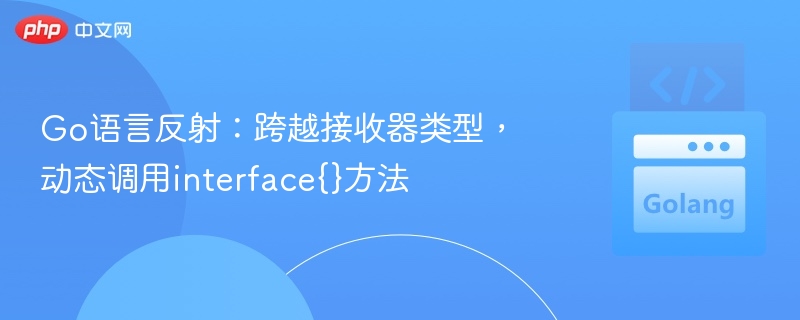 Go语言反射:跨越接收器类型,动态调用interface{}方法