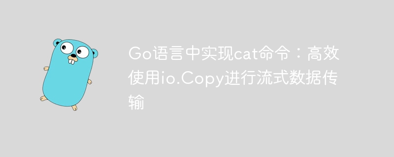 Go语言中实现cat命令:高效使用io.Copy进行流式数据传输