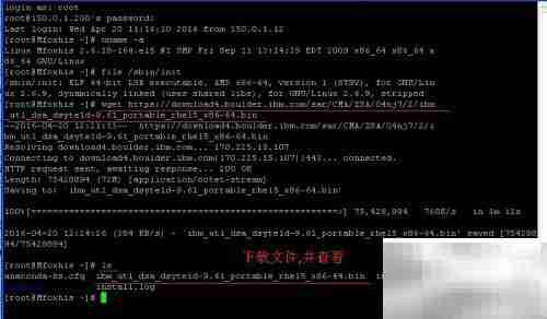 IBM X3650M3 Red Hat DSA日志实战