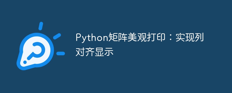 Python矩阵列对齐打印方法