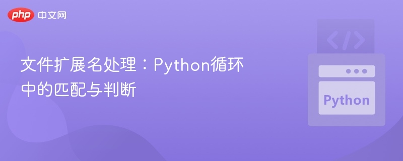文件扩展名处理:Python循环中的匹配与判断