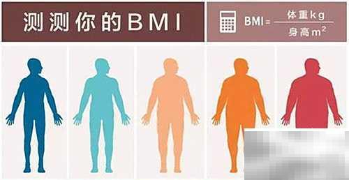BMI是什么？轻松掌握身体指标