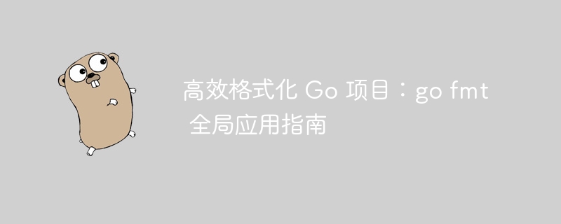 Go项目高效格式化教程：gofmt全局使用详解