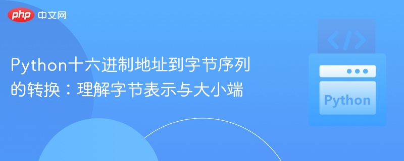 十六进制地址转字节：大小端与字节解析
