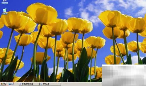 WinServer2003鼠标轨迹设置方法