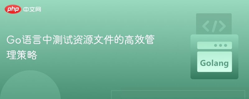 Go语言资源文件管理技巧分享