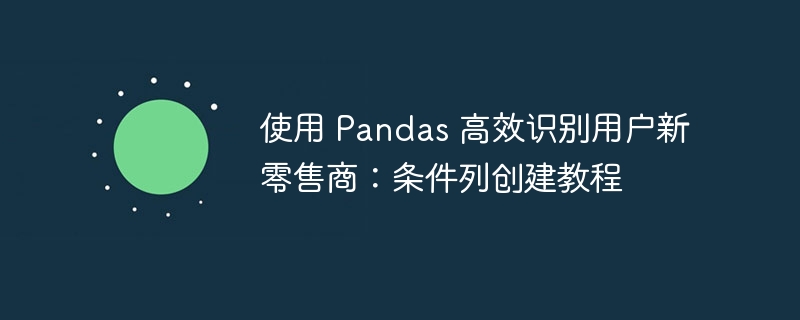 Pandas快速识别新零售商：条件列创建教程