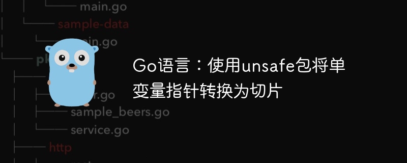 Go语言:使用unsafe包将单变量指针转换为切片
