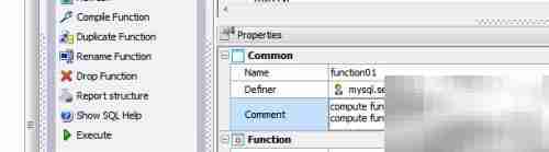Maestro修改函数注释指南