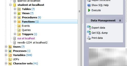 Maestro函数注释修改指南