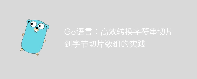 Go字符串切片转字节切片技巧