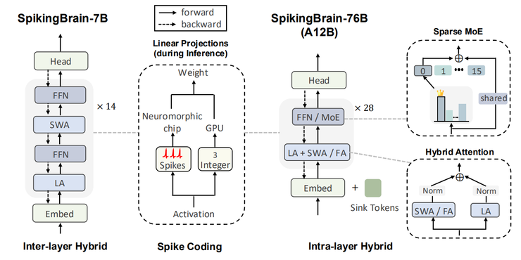 不靠英伟达,中科院在国产 GPU 上跑通 76B 类脑大模型