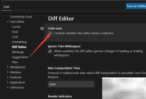 VS Code编码透镜设置方法