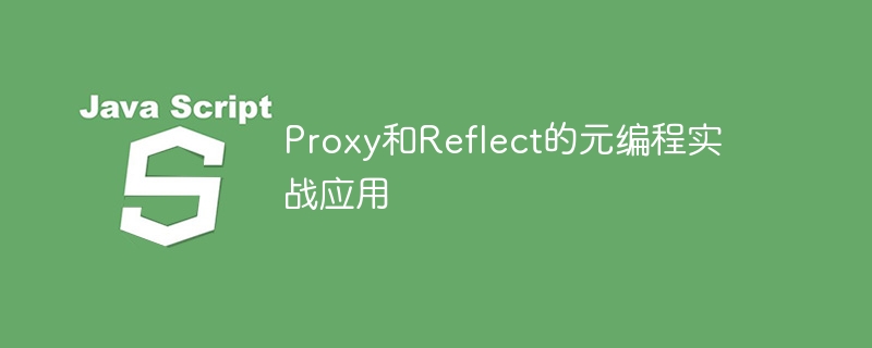 Proxy与Reflect元编程技巧解析