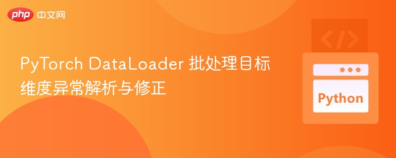 PyTorch DataLoader 批处理目标维度异常解析与修正
