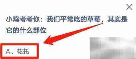 草莓我们吃的是哪个部位?