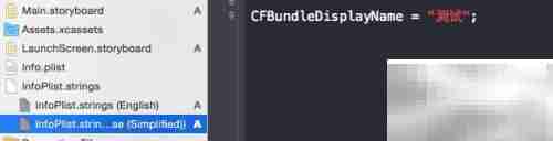 iOS项目国际化实践