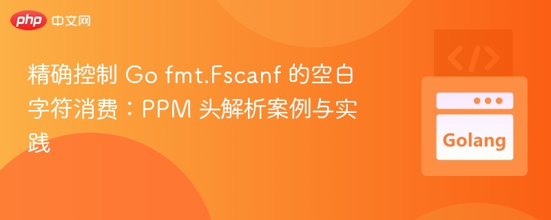 PPM头解析：Gofmt.Fscanf空格处理方法