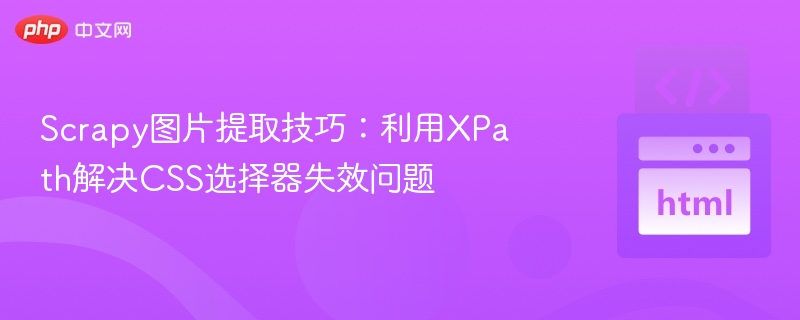 Scrapy图片提取技巧：利用XPath解决CSS选择器失效问题
