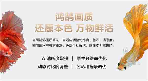 长虹、海思联合发布长虹星闪电视2.0:一根线搞定供电+4K传输
