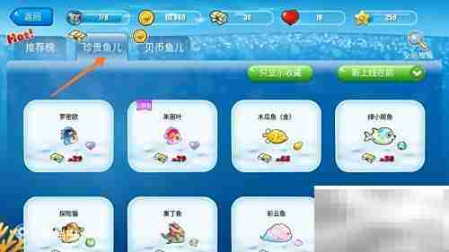 开心水族箱清雅绿斑海兔购买攻略