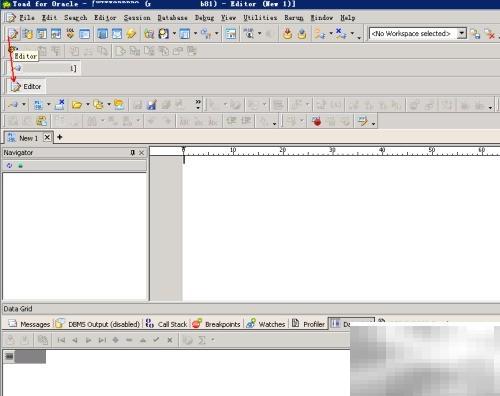 ToadSQL编辑器全面解析与使用技巧