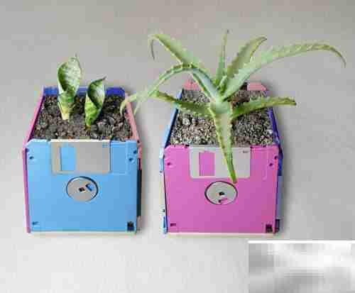 废弃软盘变身迷你花盆