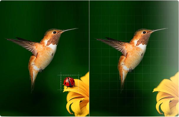 绘蛙AI修图教程：轻松制作吸睛封面