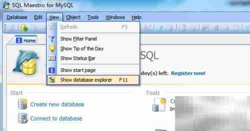 Maestro修改查询名称指南