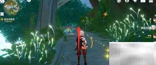 原神3.2须弥美食任务攻略