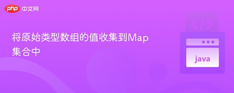 将原始类型数组的值收集到Map集合中