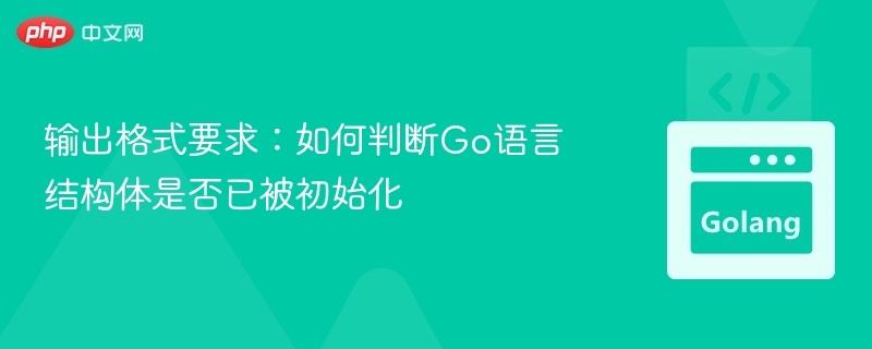 输出格式要求：如何判断Go语言结构体是否已被初始化