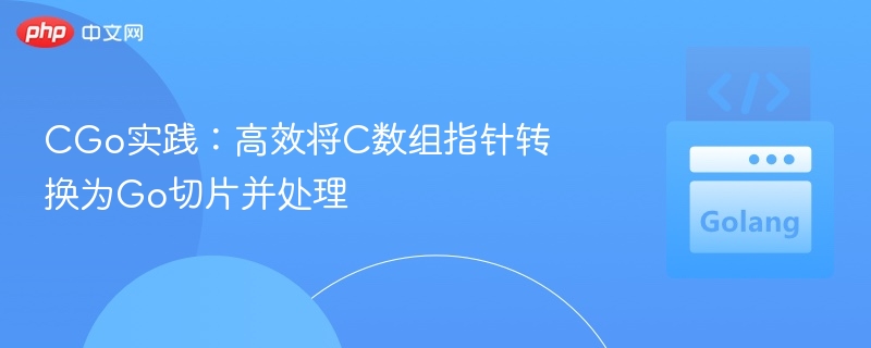 CGo实战：C数组转Go切片方法