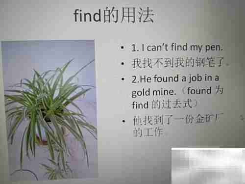 find与found用法辨析