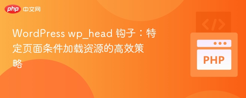 WordPress wp_head 钩子：特定页面条件加载资源的高效策略
