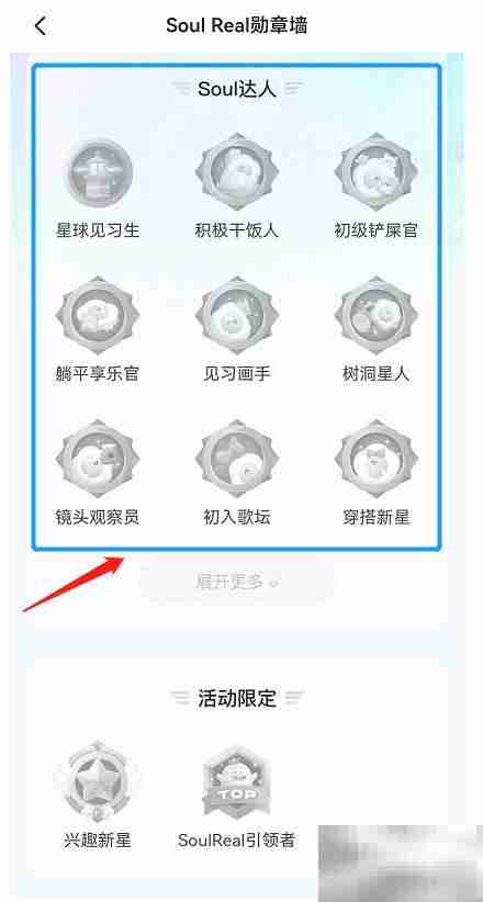 Soul Real勋章墙查看指南