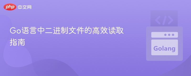 Go语言快速读取二进制文件技巧