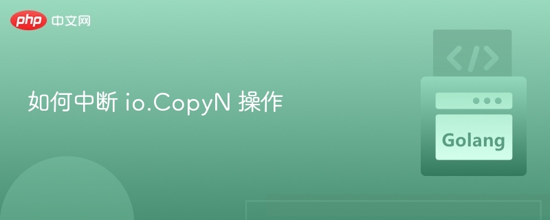 如何中断 io.CopyN 操作